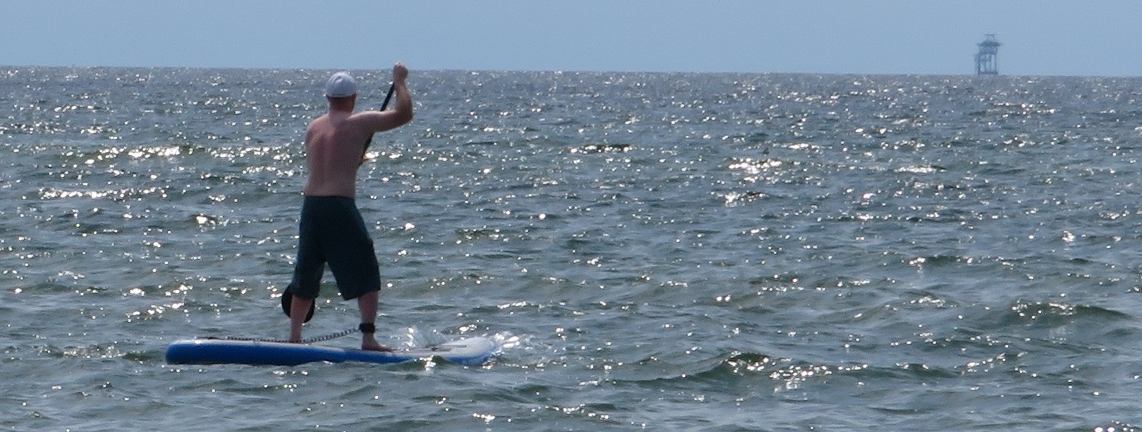 IMG_1360 zoomed - SMALL