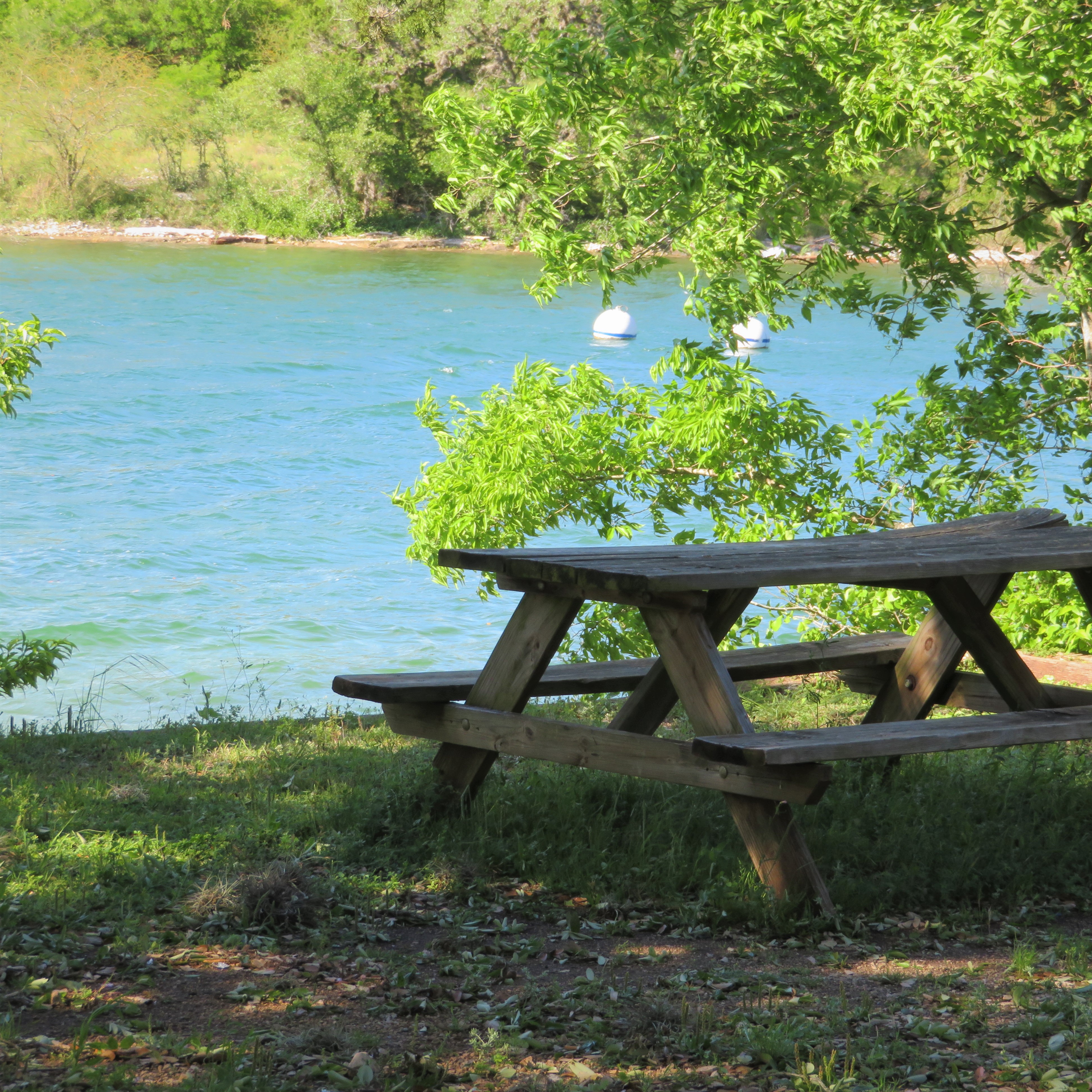 Medina Lake content Joes (3) square