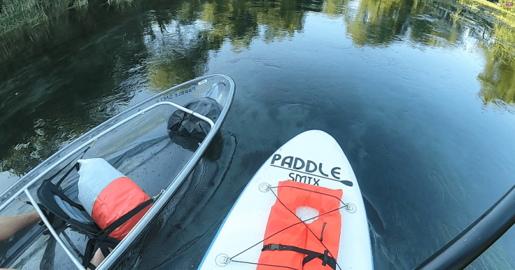 PaddleSMTX1 -small