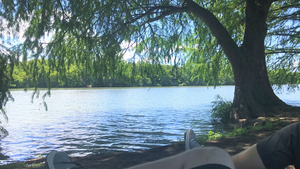 Flat Rock Park widescreen small